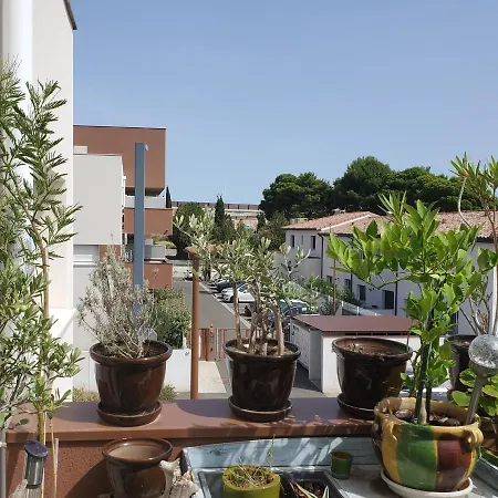 L'olivier, Standing Terrasse Parking Wi-fi Netflix *