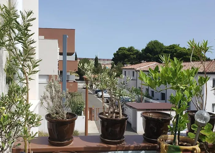 L'olivier, Standing Terrasse Parking Wi-fi Netflix *